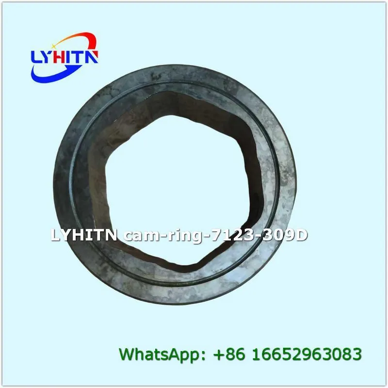quality cam ring 7123-309d for injection pump in bulk - lyhitn auto parts