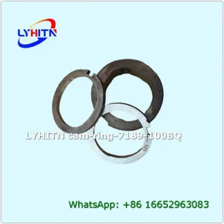 quality cam ring 7189-100bq for injection pump in bulk - lyhitn auto parts