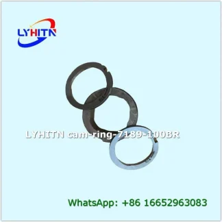 quality cam ring 7189-100br for injection pump in bulk - lyhitn auto parts