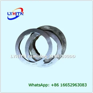quality cam ring 7189-100dd for injection pump in bulk - lyhitn auto parts
