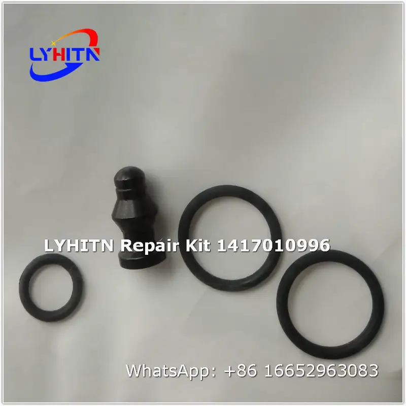 1417010996 repair kits for diesel system - lyhitn auto parts