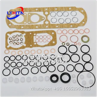 2417010003 800920 repair kits for diesel system - lyhitn auto parts