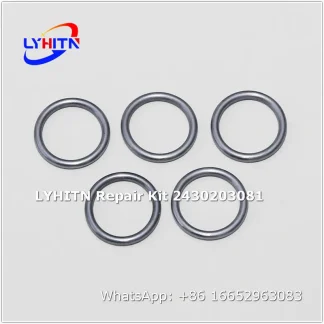 2430203081 repair kits for diesel system - lyhitn auto parts