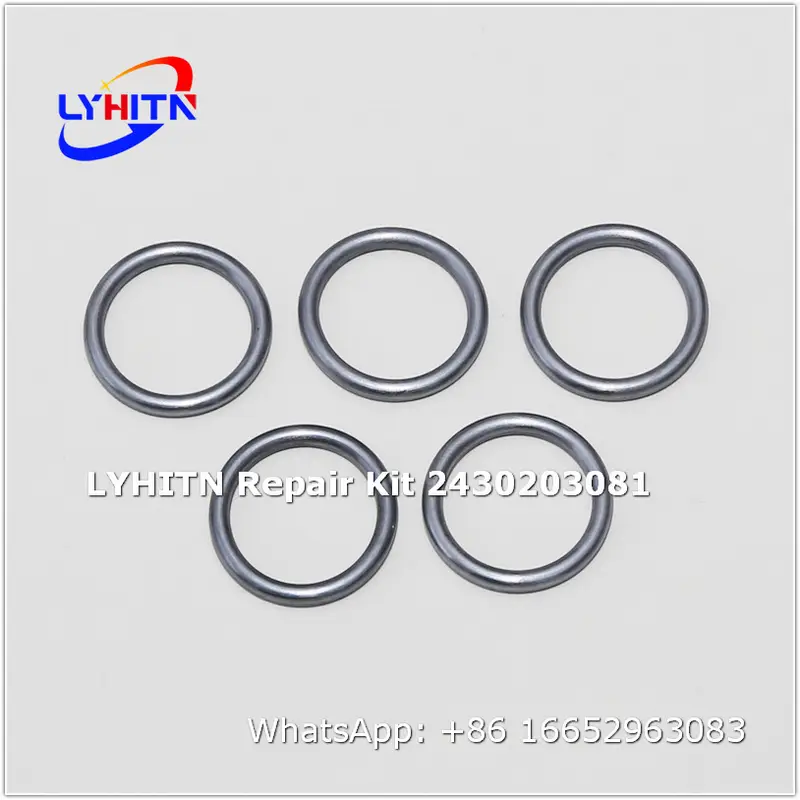 2430203081 repair kits for diesel system - lyhitn auto parts