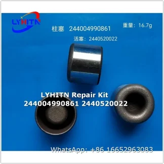 244004990861 2440520022 repair kits for diesel system - lyhitn auto parts