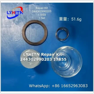 244302990203 17855 repair kits for diesel system - lyhitn auto parts