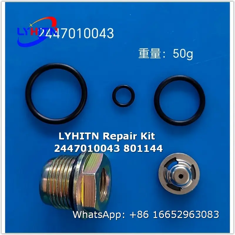 2447010043 801144 repair kits for diesel system - lyhitn auto parts