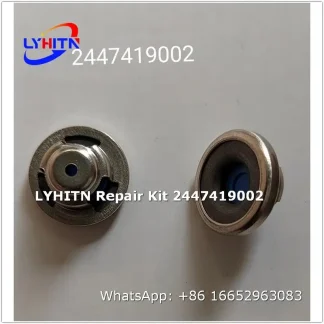 2447419002 repair kits for diesel system - lyhitn auto parts