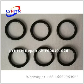f00rj01026 repair kits for diesel system - lyhitn auto parts