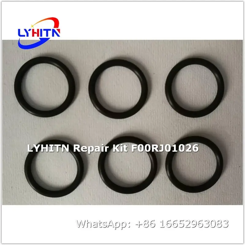 f00rj01026 repair kits for diesel system - lyhitn auto parts